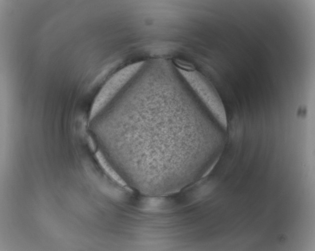 X0000110940575200907022136