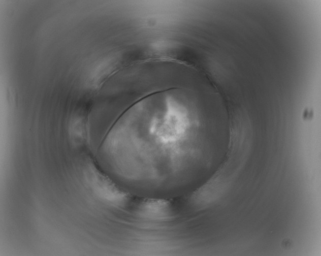 X0000110940576200907022136