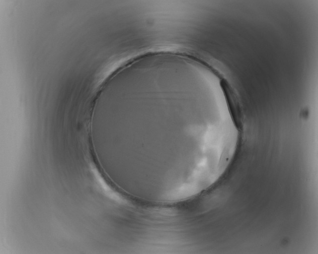 X0000110940577200907022135