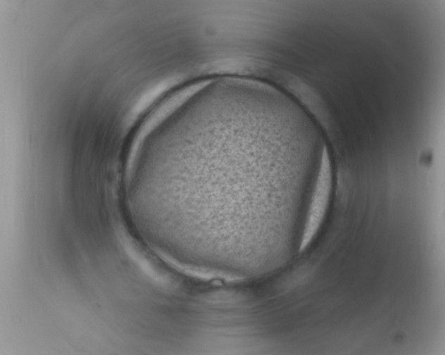 X0000110940578200907022135