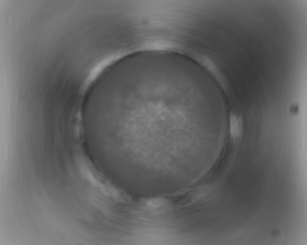 X0000110940579200907022135