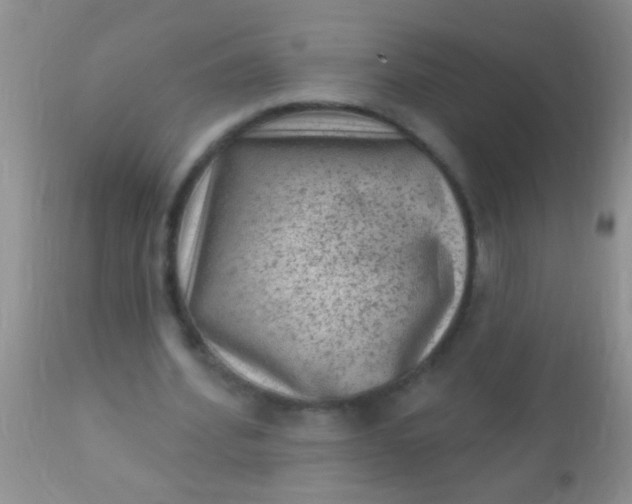 X0000110940580200907022135