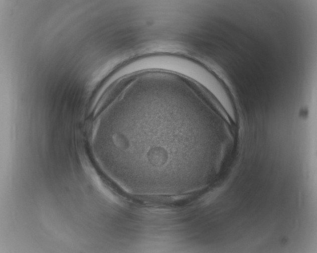 X0000110940581200907022135