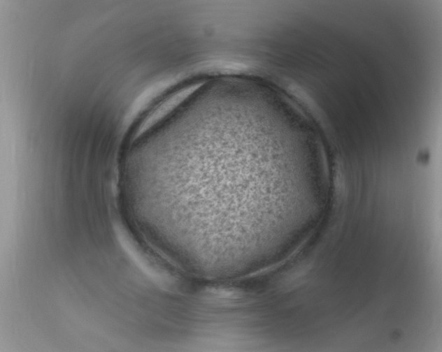 X0000110940582200907022135