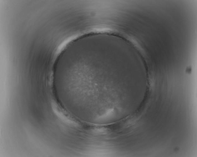 X0000110940583200907022135