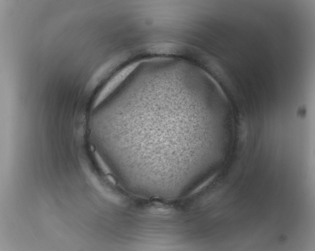 X0000110940586200907022135