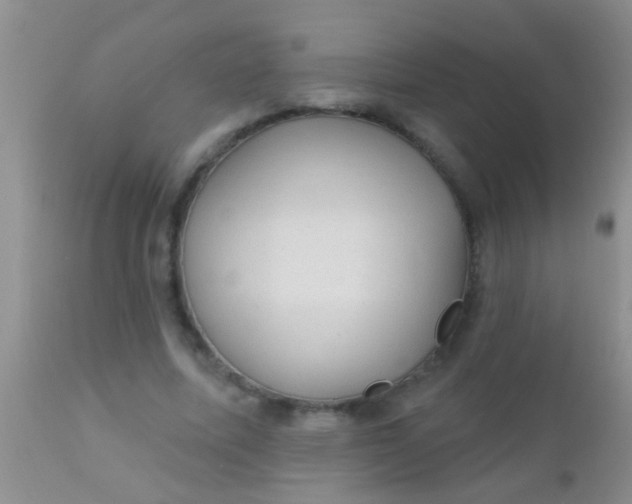 X0000110940587200907022135