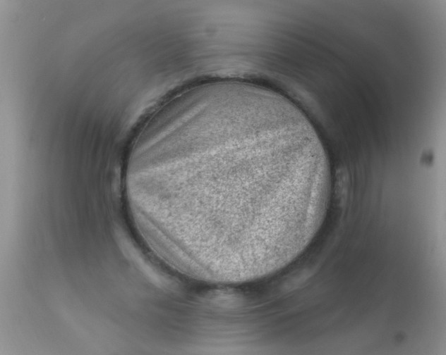 X0000110940589200907022135