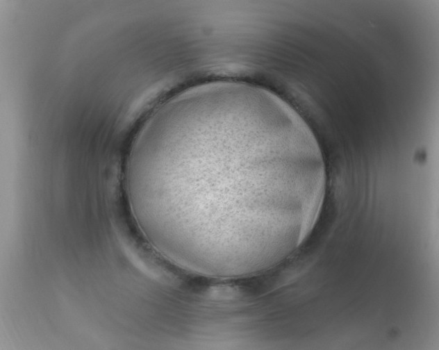 X0000110940591200907022135