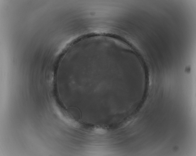 X0000110940592200907022135