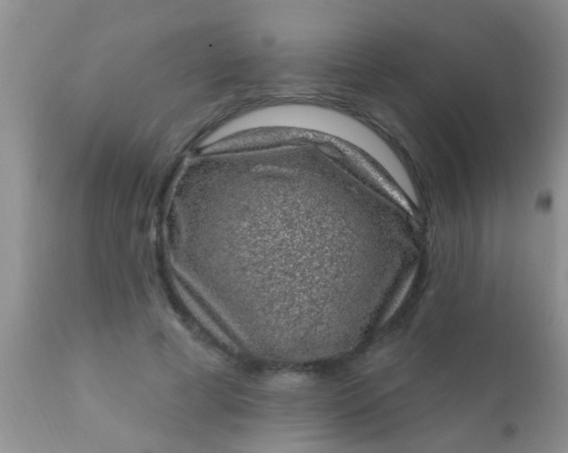 X0000110940593200907022135