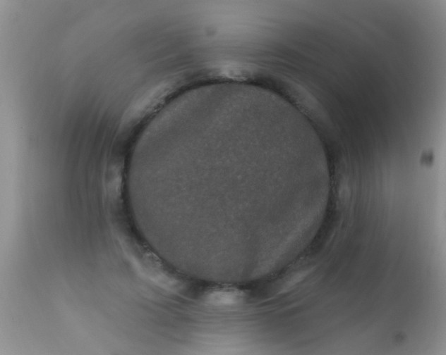 X0000110940595200907022135