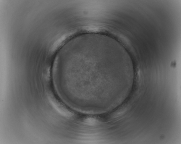 X0000110940596200907022135