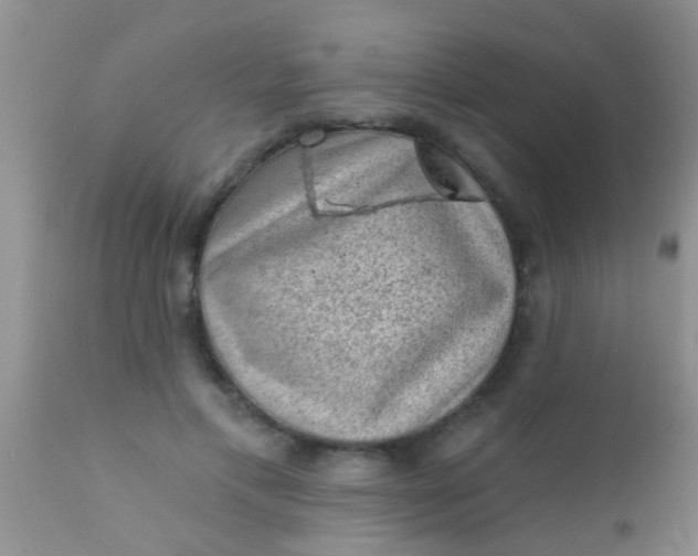 X0000110940597200907022135