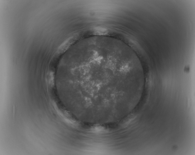 X0000110940598200907022135