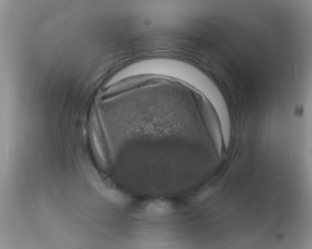 X0000110940599200907022135