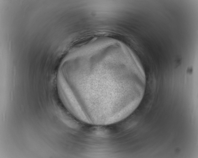 X0000110940601200907022135