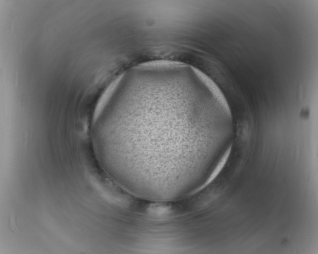 X0000110940602200907022135