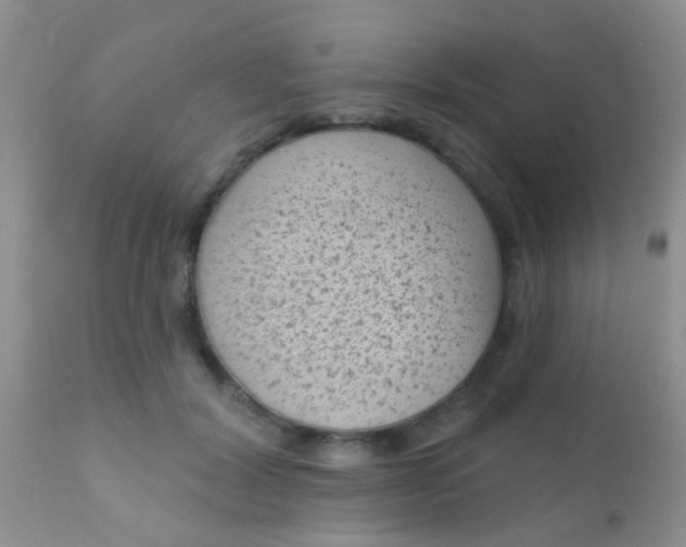 X0000110940604200907022135