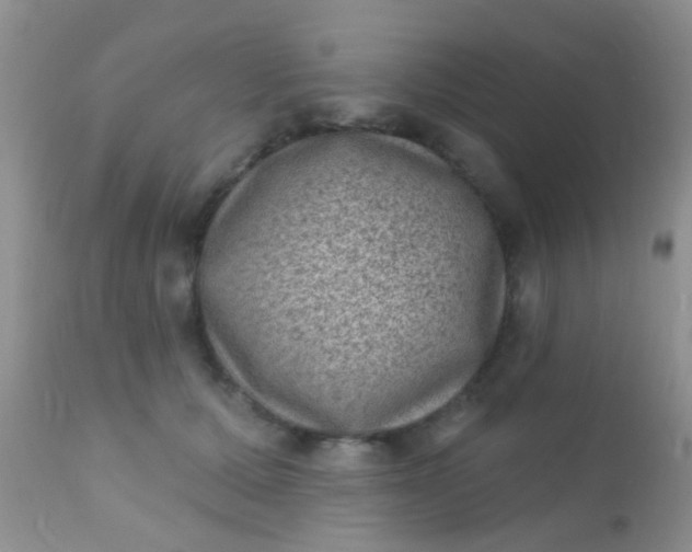 X0000110940607200907022135