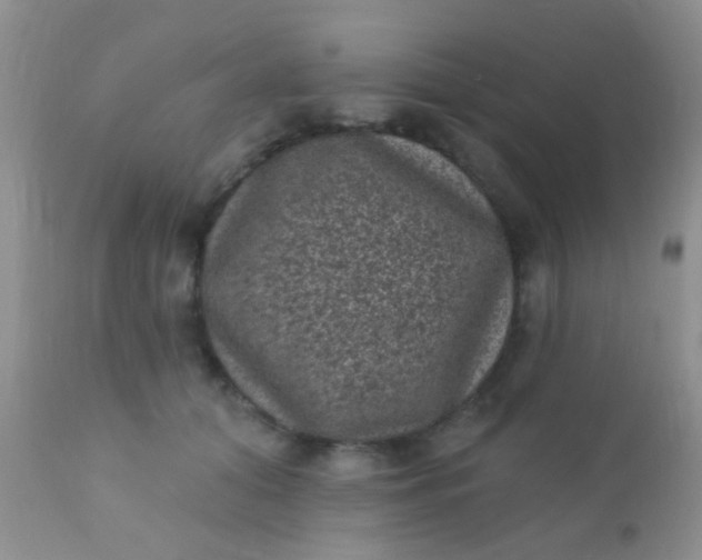 X0000110940608200907022135