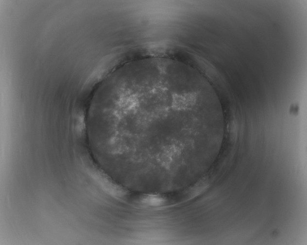 X0000110940610200907022134