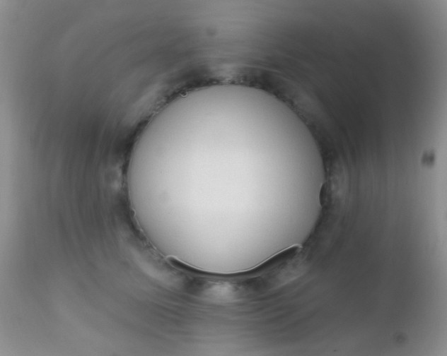 X0000110940611200907022134