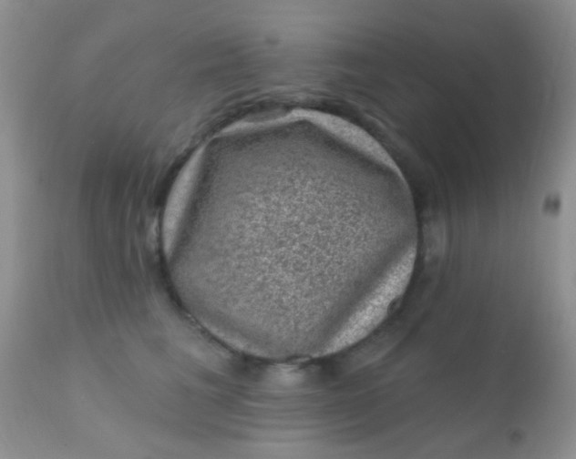 X0000110940613200907022134