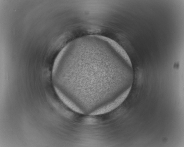 X0000110940614200907022134