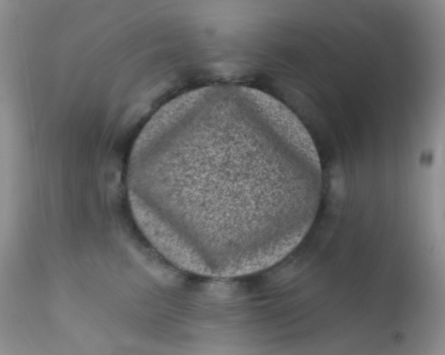 X0000110940615200907022134