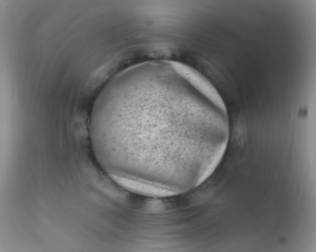 X0000110940616200907022134