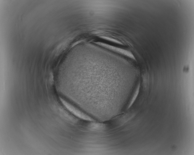 X0000110940617200907022134