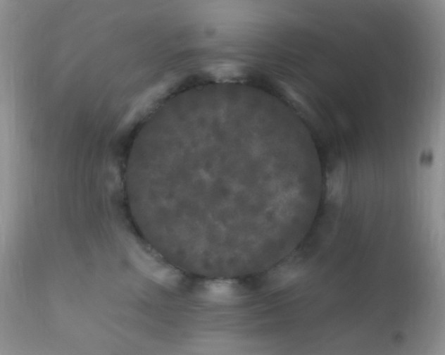 X0000110940618200907022134