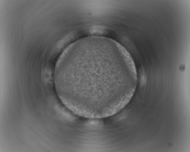 X0000110940619200907022134