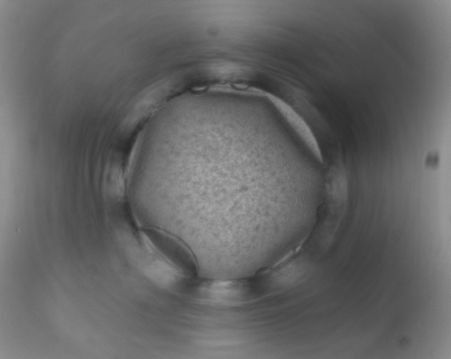 X0000110940622200907022134