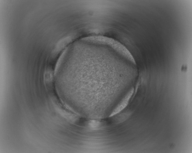 X0000110940623200907022134