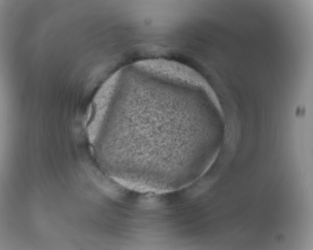 X0000110940624200907022134