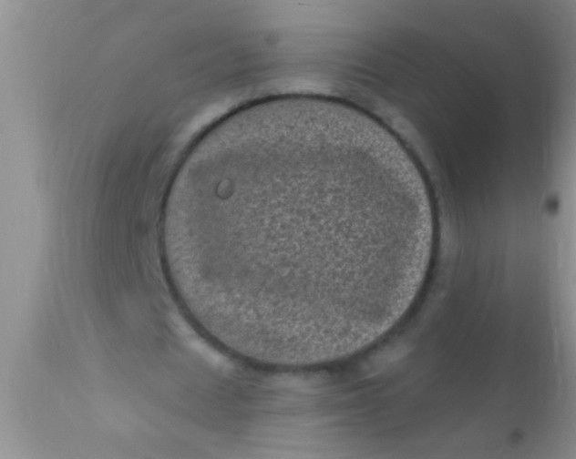 X0000110940625200907022134