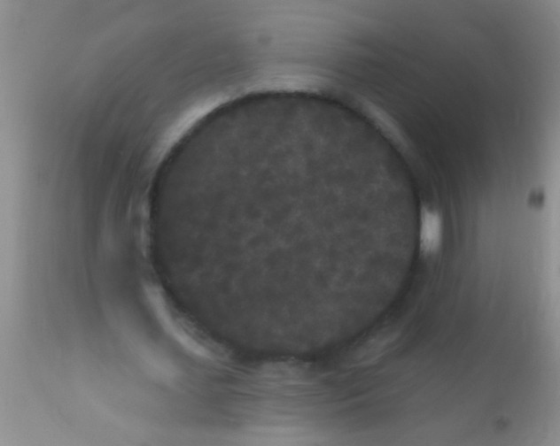 X0000110940627200907022134