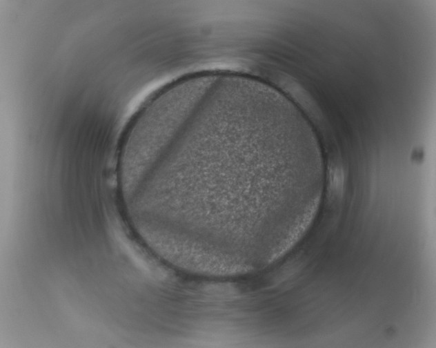 X0000110940628200907022134