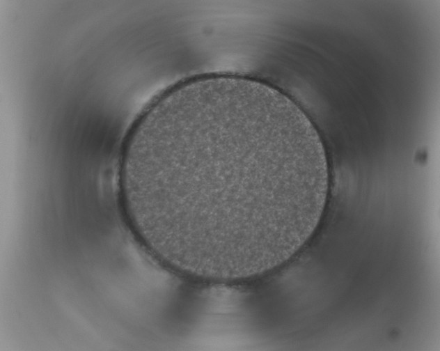 X0000110940632200907022134