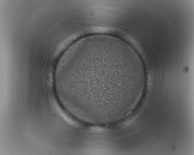 X0000110940633200907022134