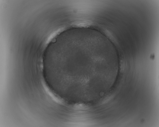 X0000110940634200907022134