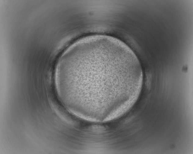 X0000110940636200907022134