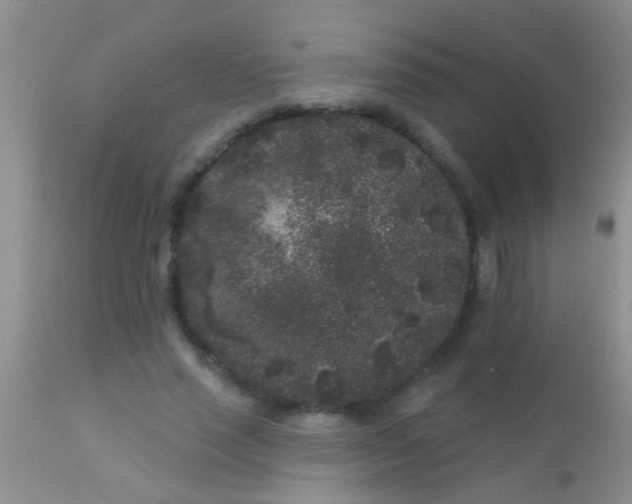 X0000110940637200907022134