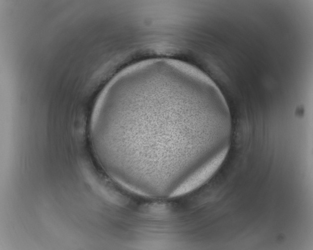 X0000110940639200907022134