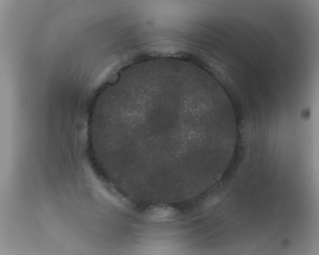 X0000110940642200907022134