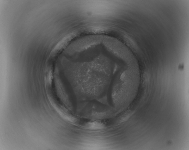 X0000110940644200907022134