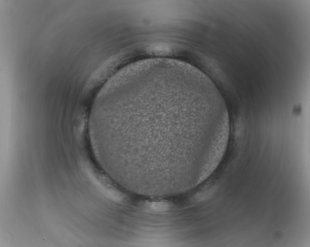 X0000110940645200907022134