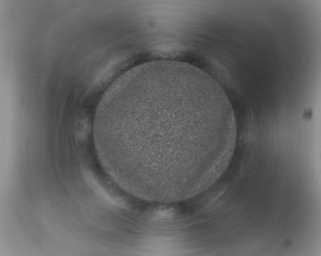 X0000110940647200907022134